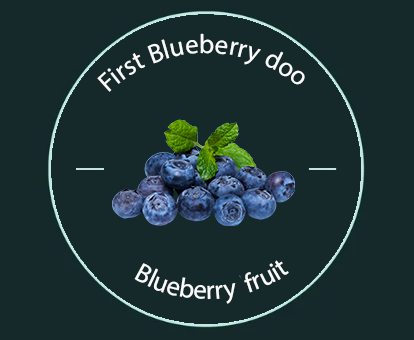 Certificate First Blueberries Predvorica Serbia